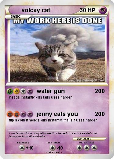 Pokemon volcay cat