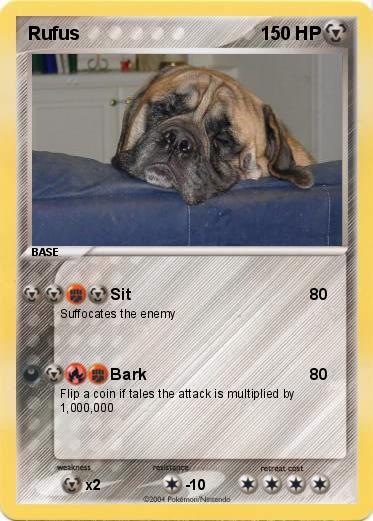 Pokemon Rufus