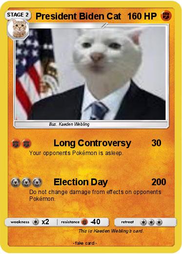 Pokemon President Biden Cat