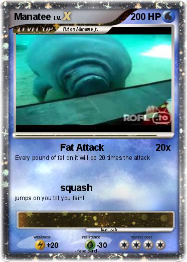 Pokemon Manatee