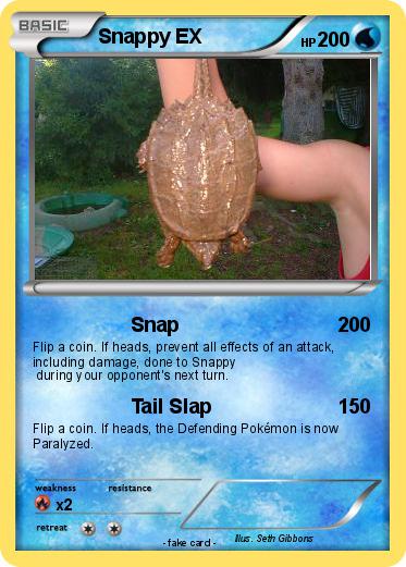Pokemon Snappy EX