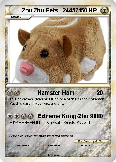 Pokemon Zhu Zhu Pets   244571