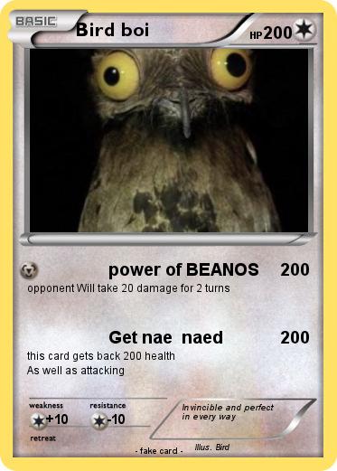 Pokemon Bird boi