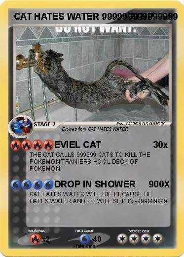 Pokemon CAT HATES WATER 999999999999999