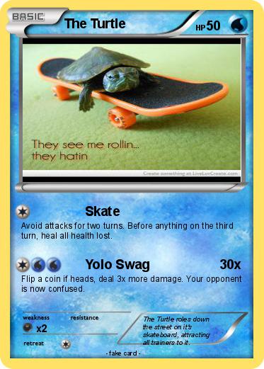 Pokemon The Turtle