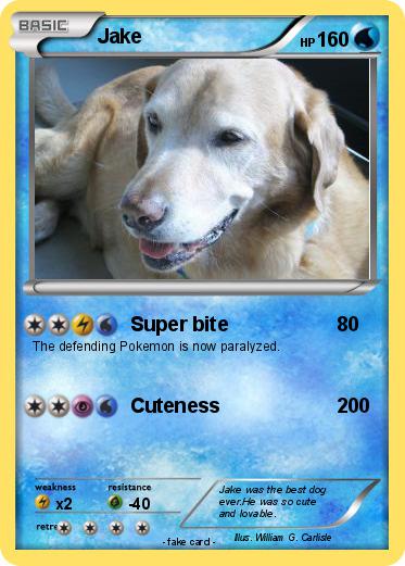 Pokemon Jake