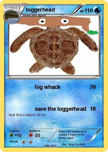 Pokemon loggerhead