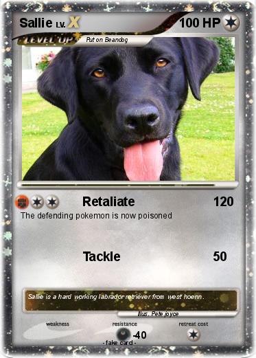 Pokemon Sallie
