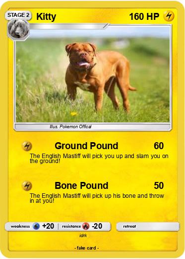 Pokemon Kitty