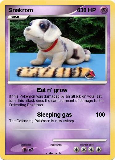 Pokemon Snakrom                            6