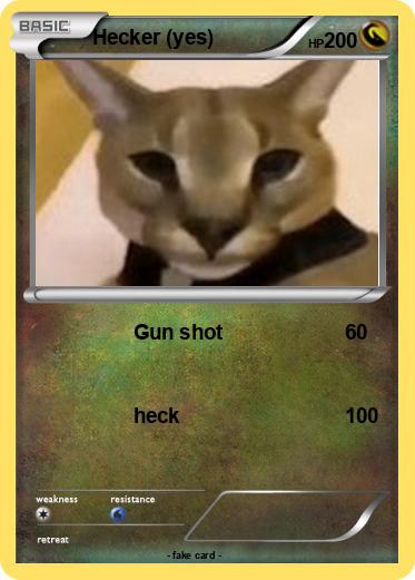 Pokemon Hecker (yes)