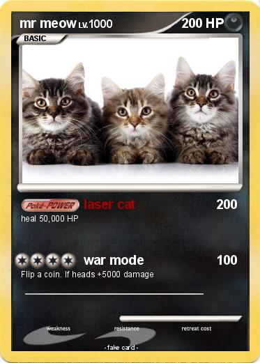 Pokemon mr meow