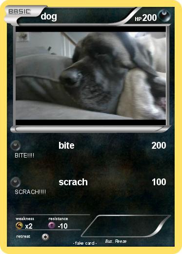 Pokemon dog