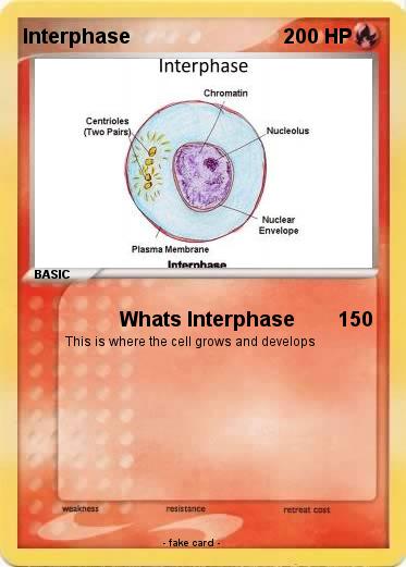 Pokemon Interphase