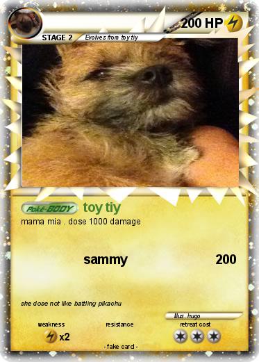 Pokemon 