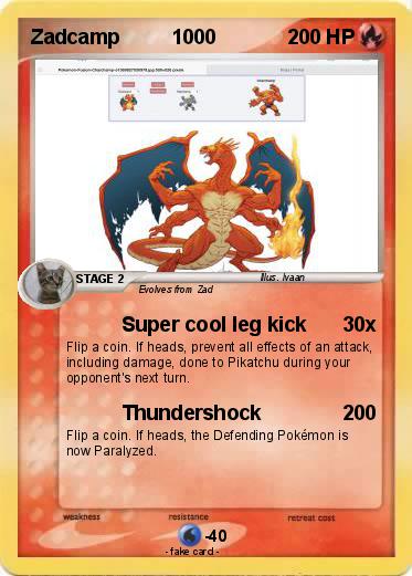 Pokemon Zadcamp         1000