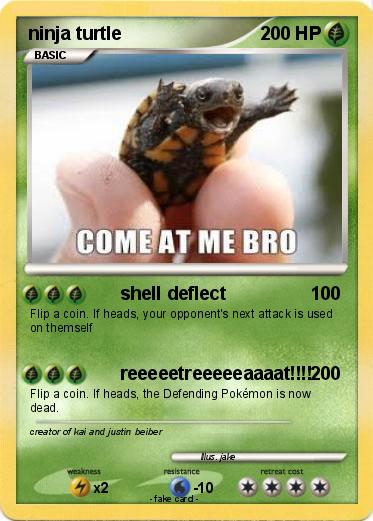Pokemon ninja turtle