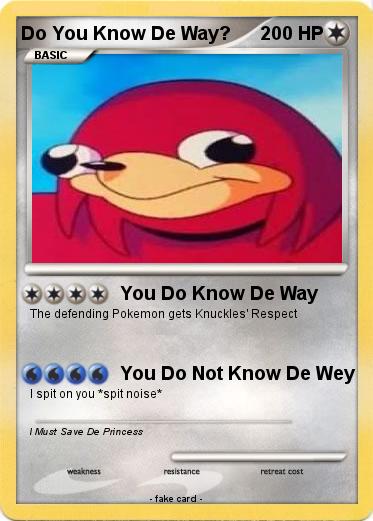 Pokemon Do You Know De Way?