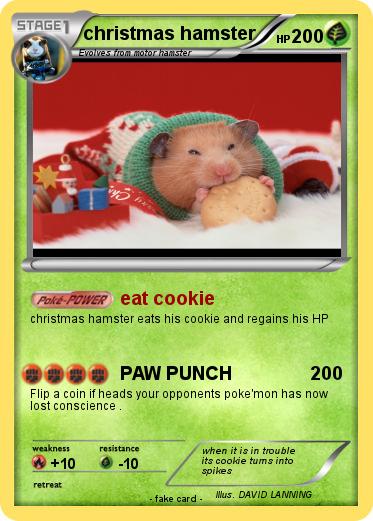 Pokemon christmas hamster