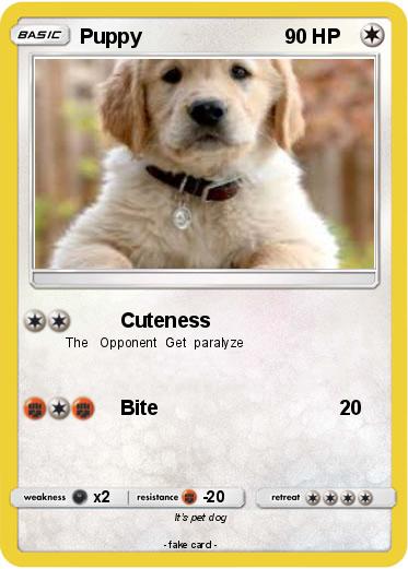 Pokemon Puppy