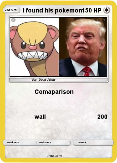 Pokemon I found his pokemon