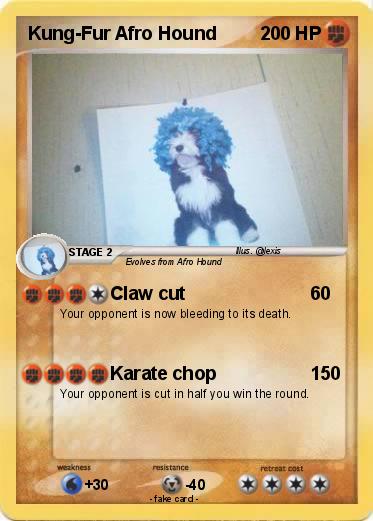 Pokemon Kung-Fur Afro Hound