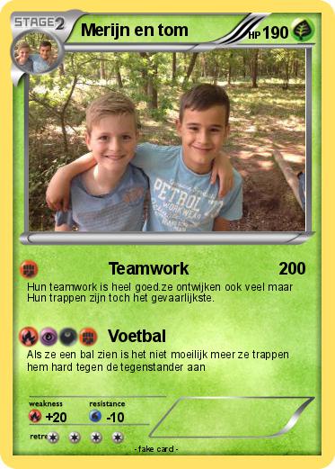 Pokemon Merijn en tom
