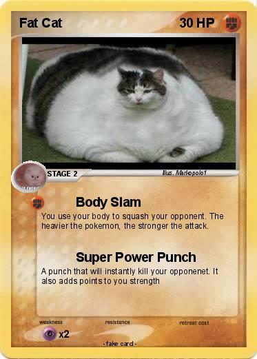 Pokemon Fat Cat