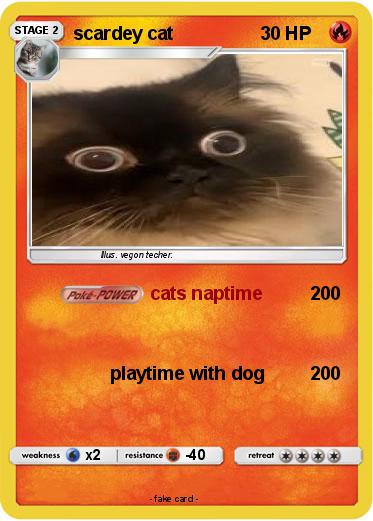 Pokemon scardey cat