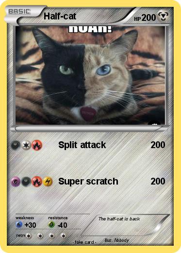 Pokemon Half-cat