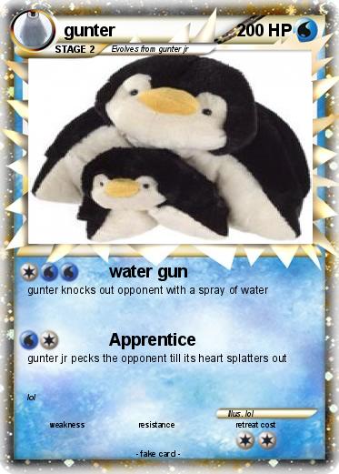 Pokemon gunter