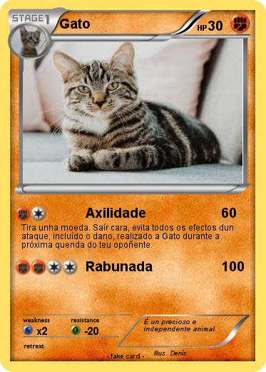Pokemon Gato