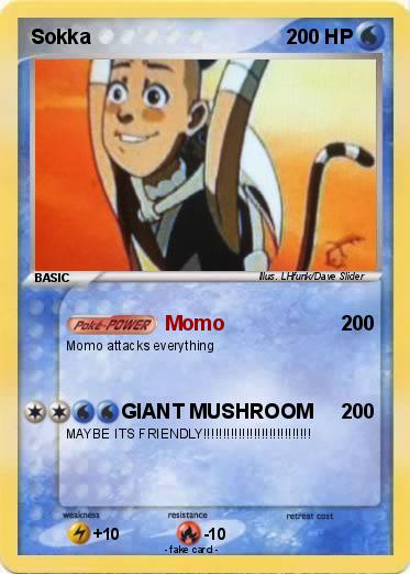 Pokemon Sokka