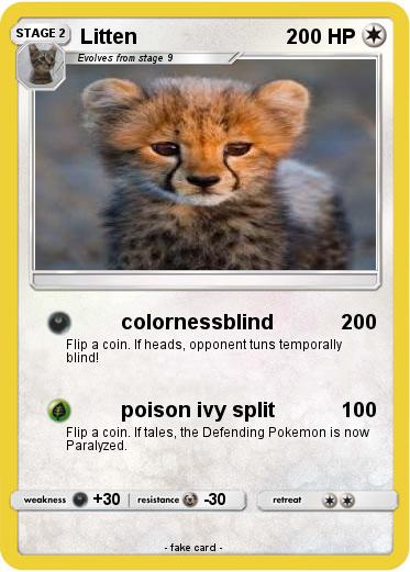 Pokemon Litten