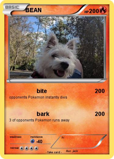 Pokemon BEAN