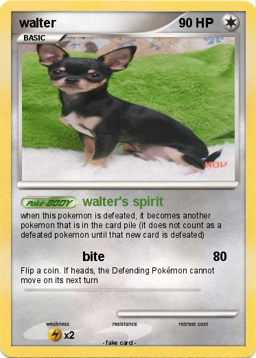 Pokemon walter