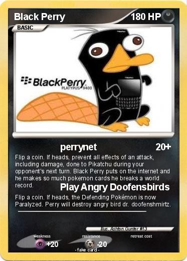 Pokemon Black Perry