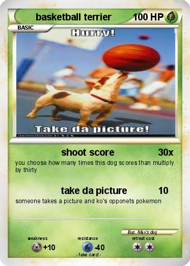 Pokemon basketball terrier