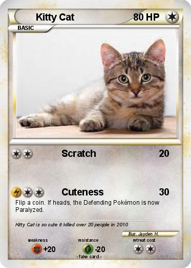 Pokemon Kitty Cat