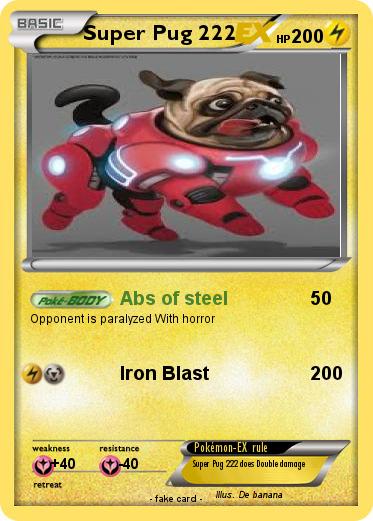 Pokemon Super Pug 222