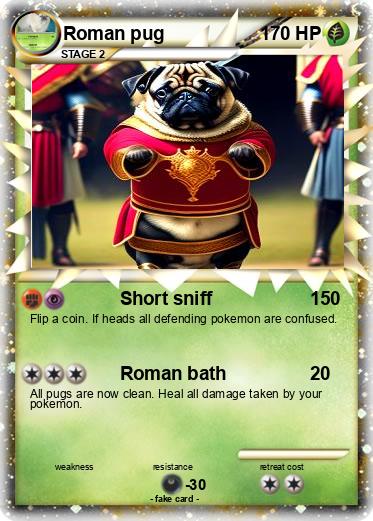 Pokemon Roman pug