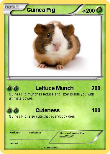 Pokemon Guinea Pig
