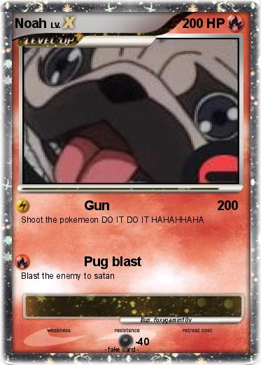 Pokemon Noah