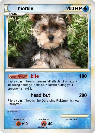 Pokemon morkie