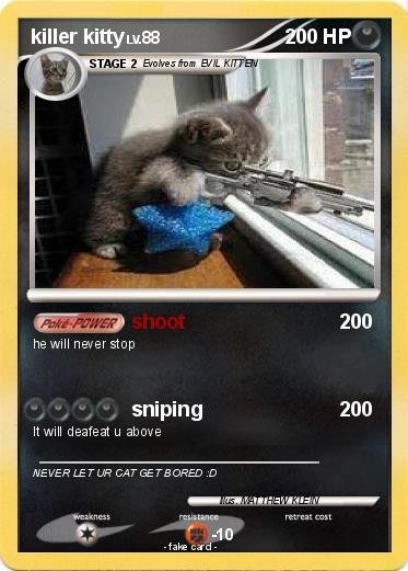 Pokemon killer kitty