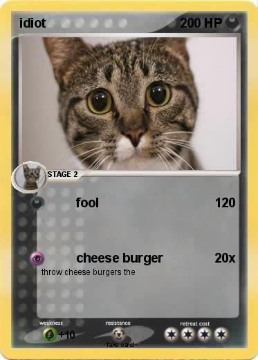 Pokemon idiot