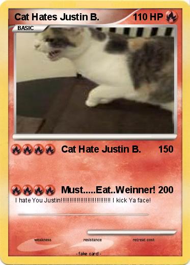 Pokemon Cat Hates Justin B.