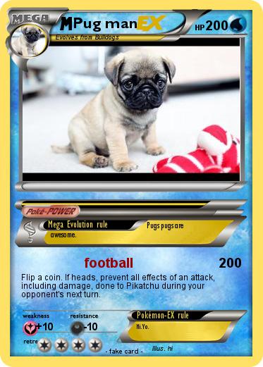 Pokemon Pug man