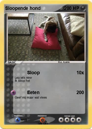 Pokemon Sloopende hond