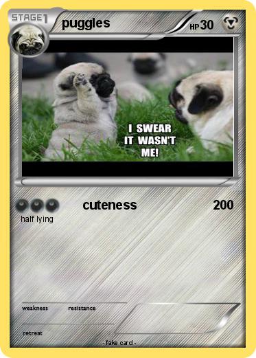 Pokemon puggles